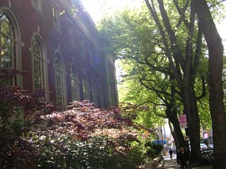 Portland Library