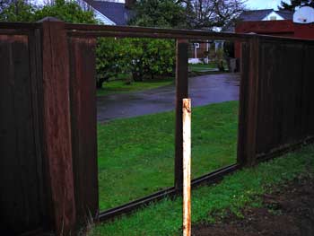 storm damage