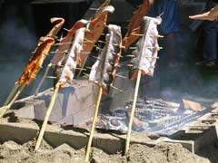 Salmon Bake