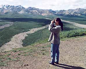 Denali